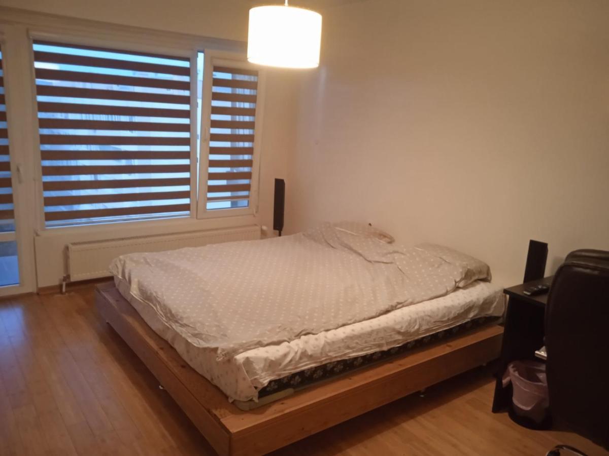 Razgrad Home